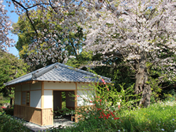 梅園の四阿
