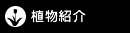 植物案内