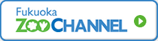 FukuokaZOOCHANNEL