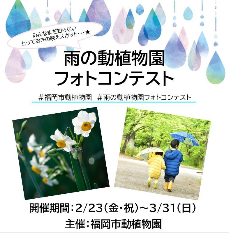 2/23〜3/31【雨の動植物園フォトコンテスト】開催中！！の画像2