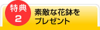 特典2：素敵な花鉢をプレゼント