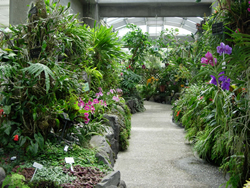 福岡市植物園 温室