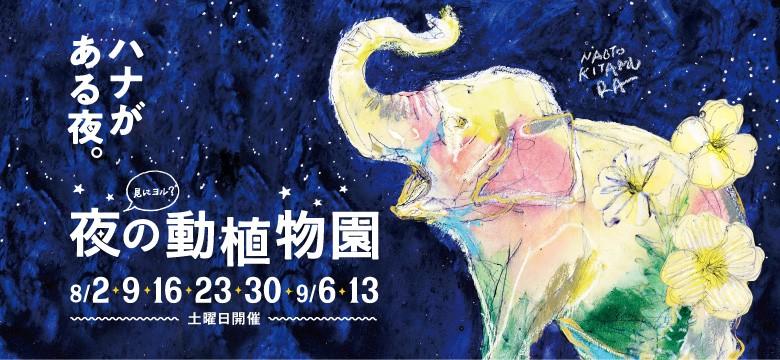 今年も「夜の動植物園」開催します！