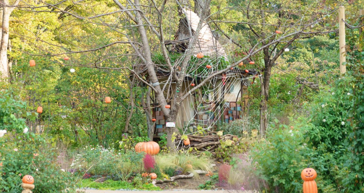 植物園ハロウィン
