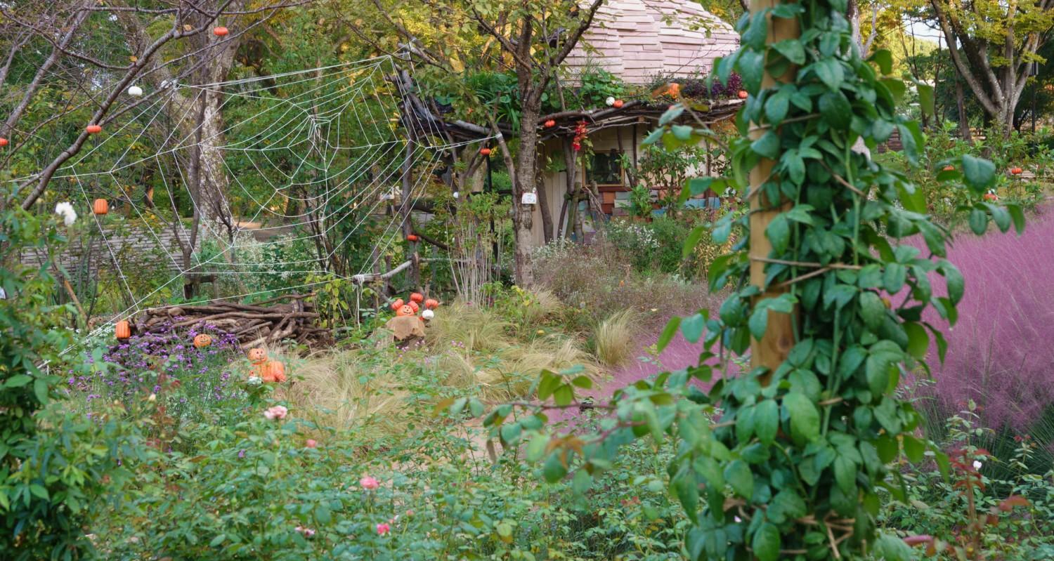 植物園ハロウィン