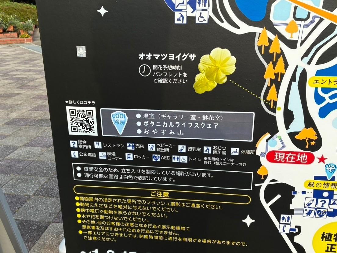 福岡市植物園のCOOLスポットの画像7