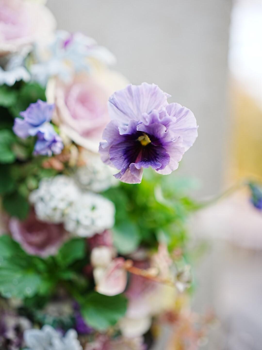 『サロン·ド·ボタニーク』