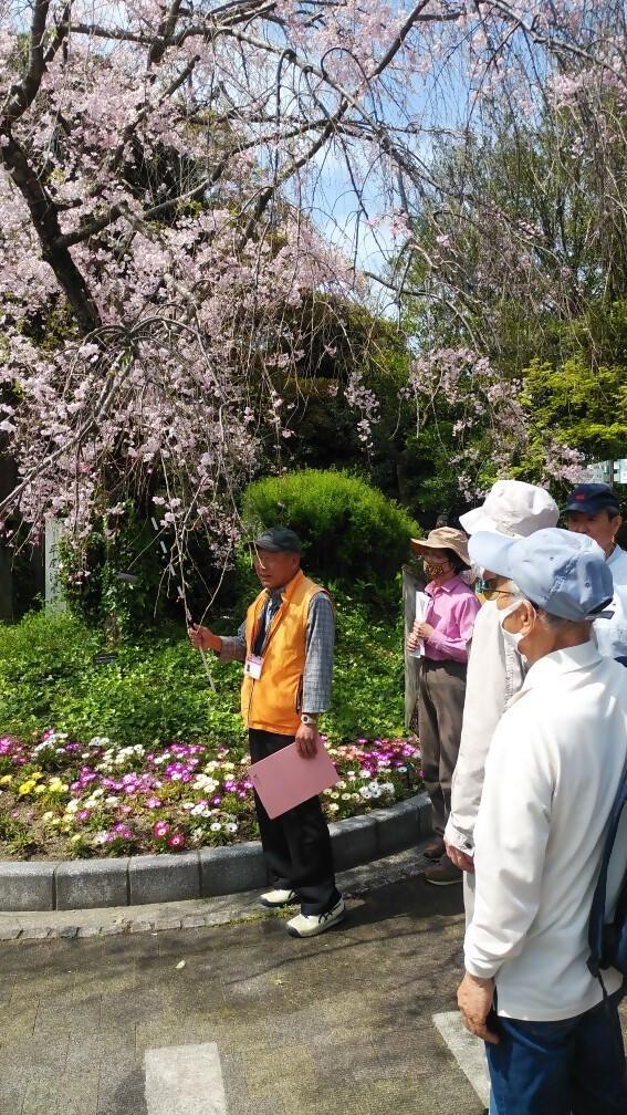 植物を観察してみよう ※当日受付