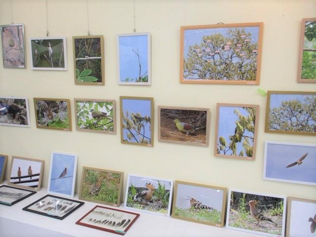 春の野鳥写真展