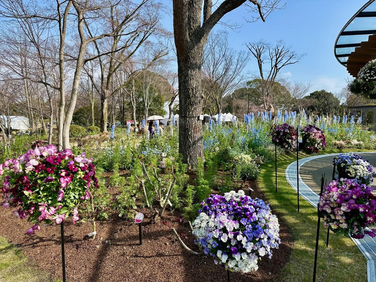 「エントランスガーデン」がオープンしました！の画像6