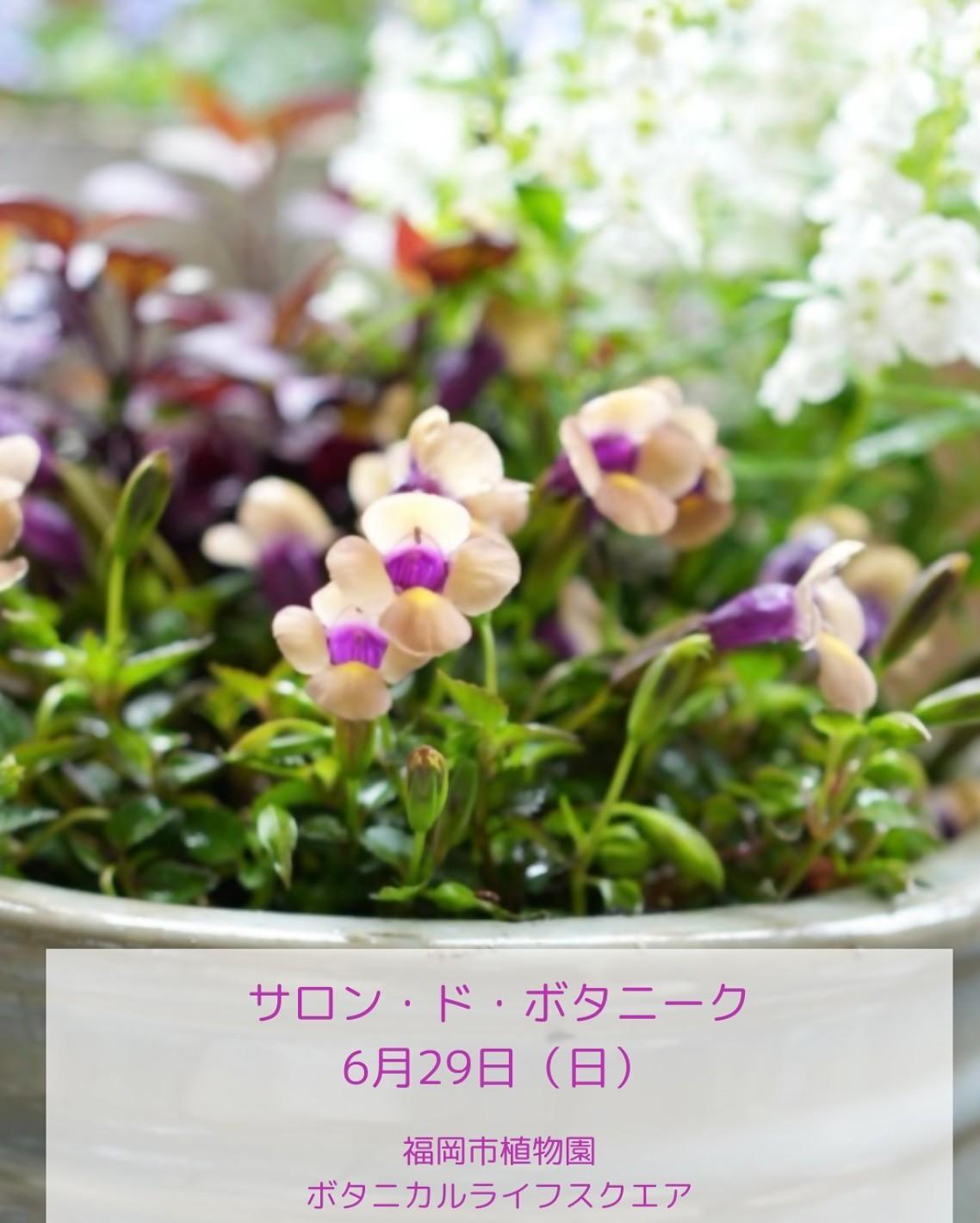サロン・ド・ボタニーク