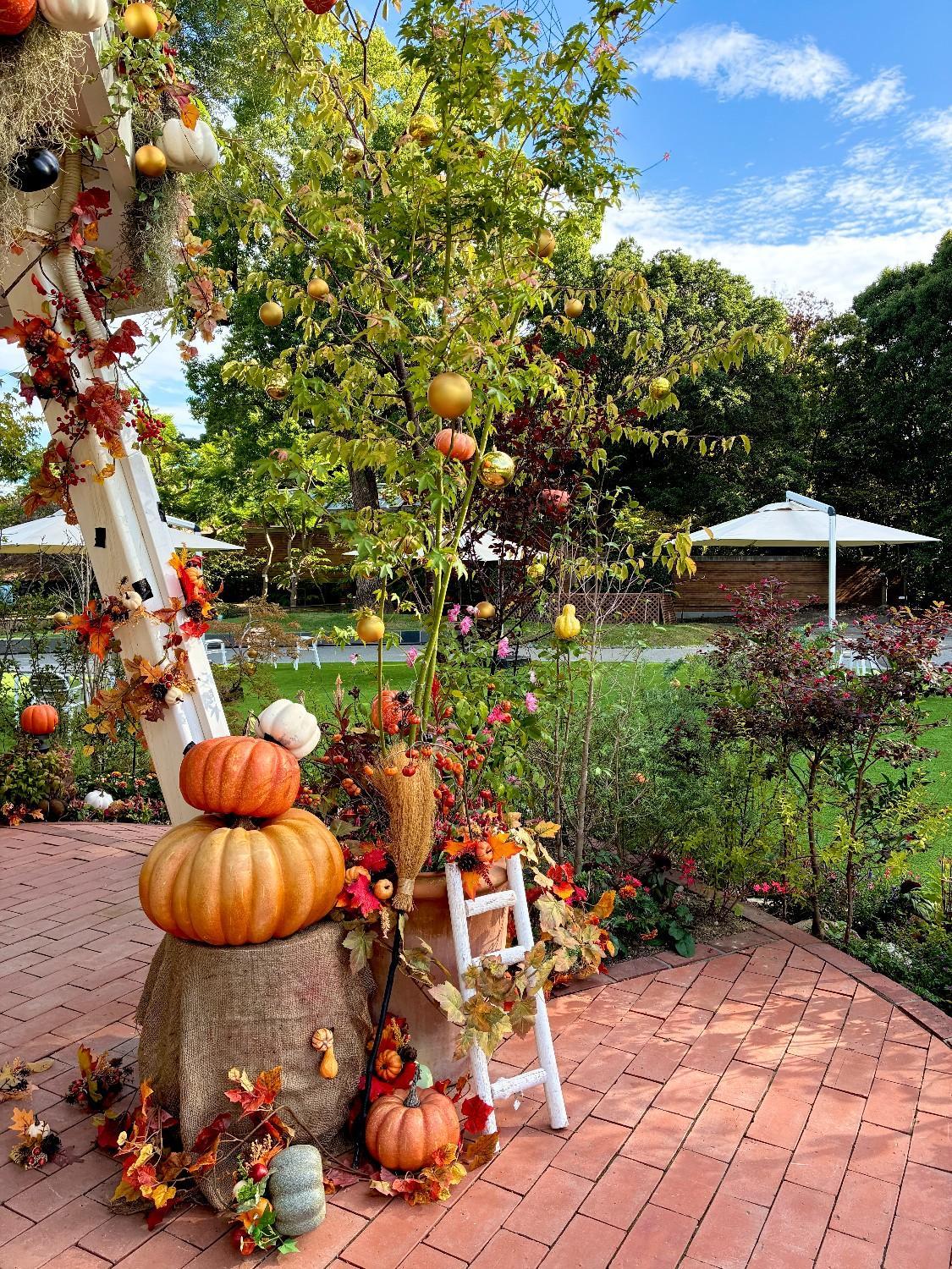 園内がハロウィン仕様に♪の画像6