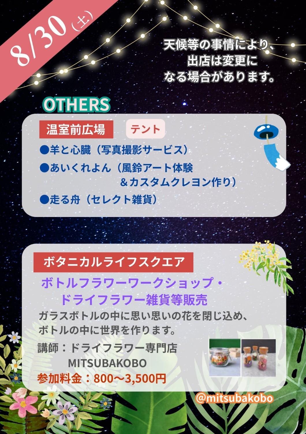 ☆夜の動植物園開催中☆植物園エリアの見どころ紹介（2025.８.28) の画像8