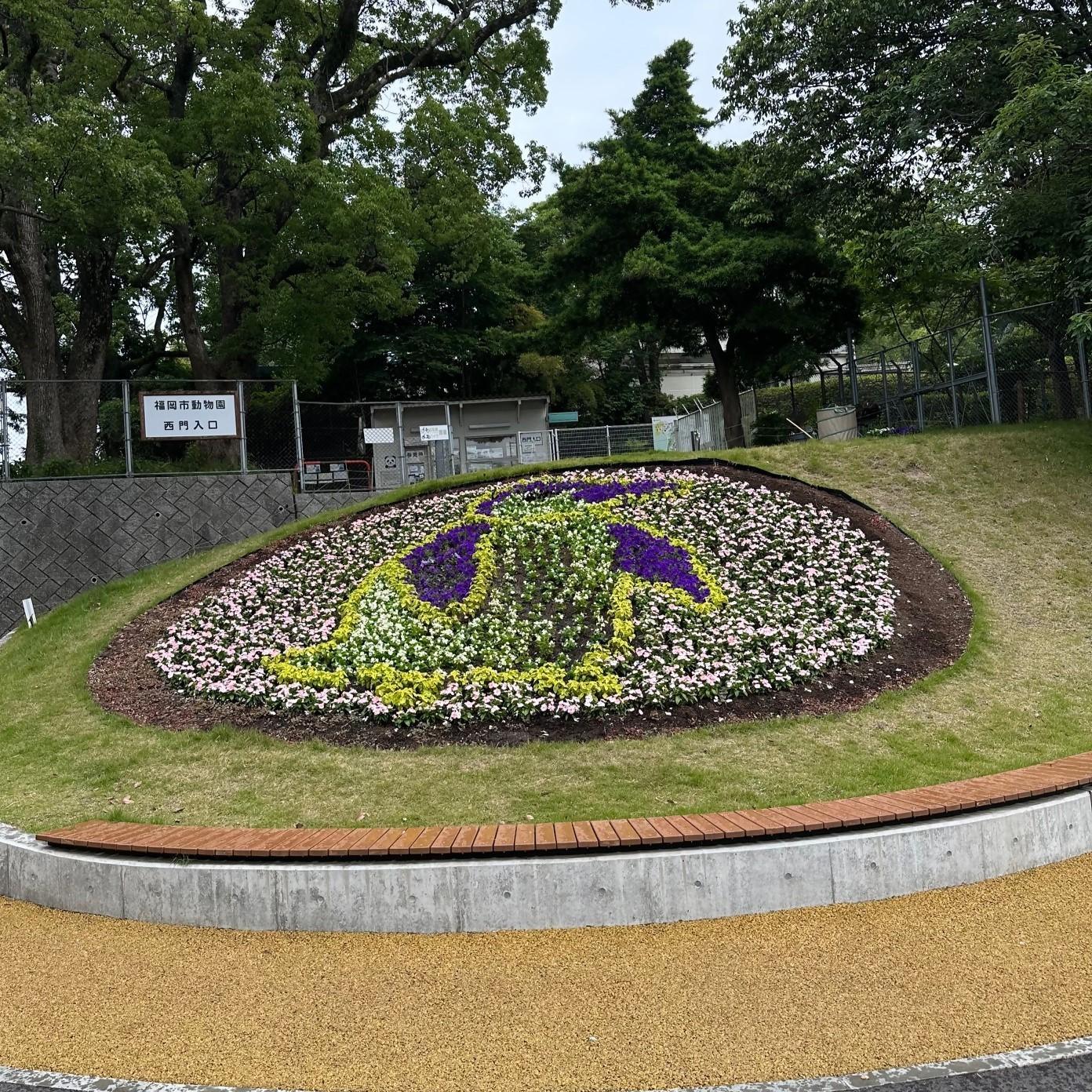 動物園西門前の「おもてなし花壇」がペンギンに！の画像7