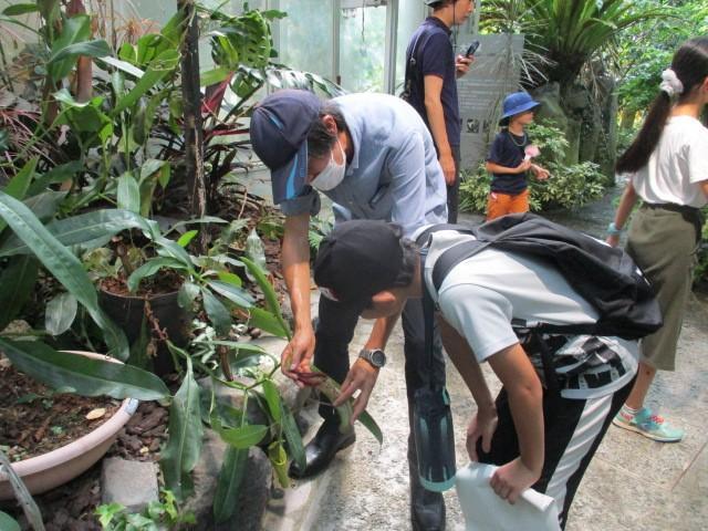 食虫植物の不思議　※7/26〆切