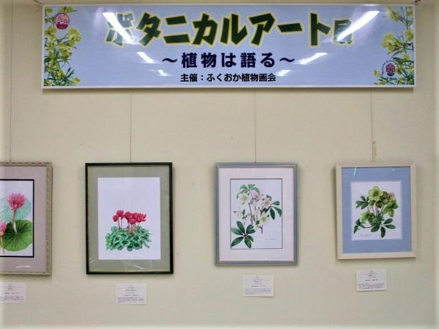 ボタニカルアート展～植物は語る～