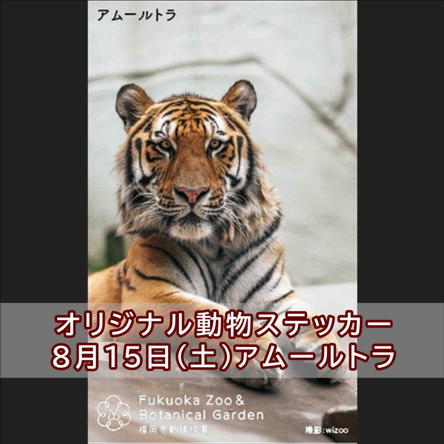 公共交通機関で「夜の動植物園」に来園した方へ「オリジナル動物ステッカー」をプレゼント♪