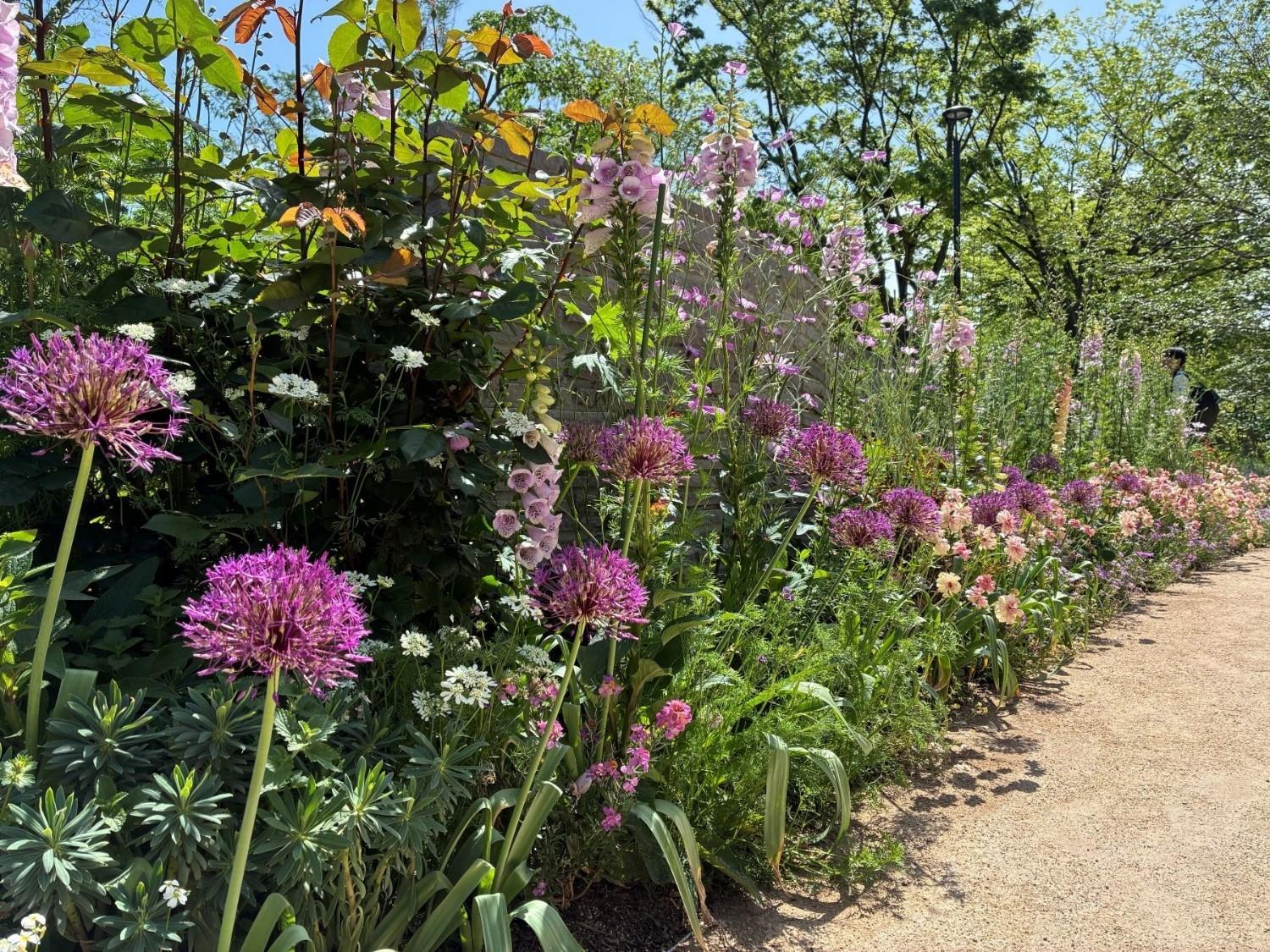 ☆春のエントランスガーデンの見どころ紹介☆の画像2