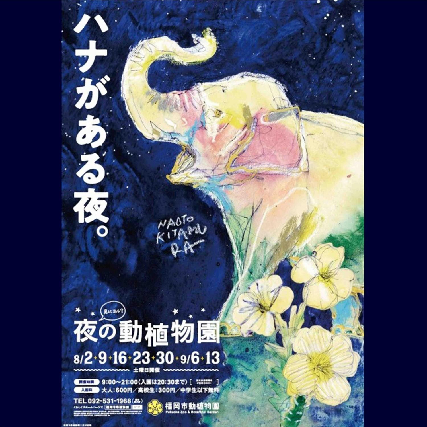 今年も「夜の動植物園」を開催します