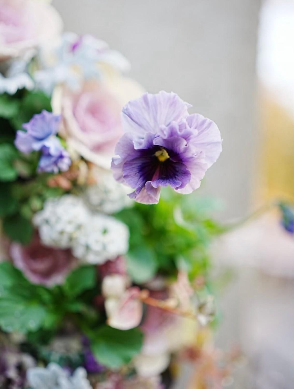 サロン・ド・ボタニーク