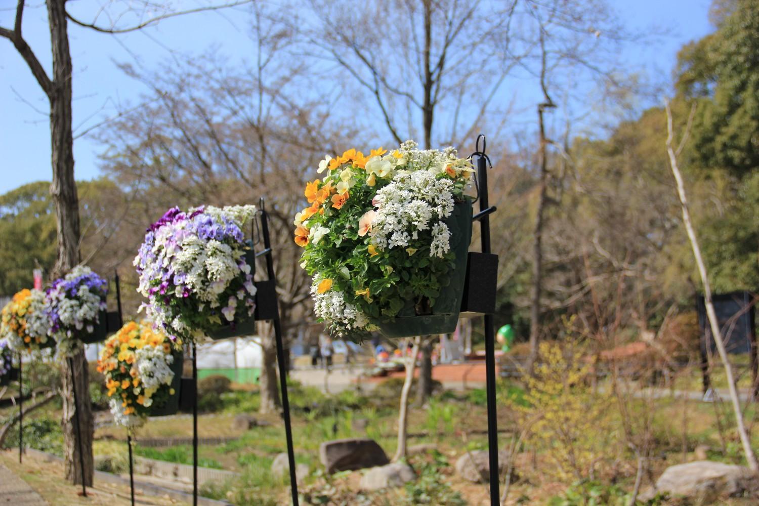 「エントランスガーデン」がオープンしました！の画像4