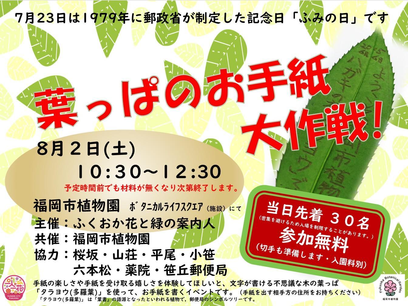 葉っぱのお手紙大作戦！　※当日先着順の画像