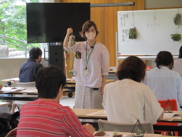 エアープランツを育ててみよう　※4/29〆切