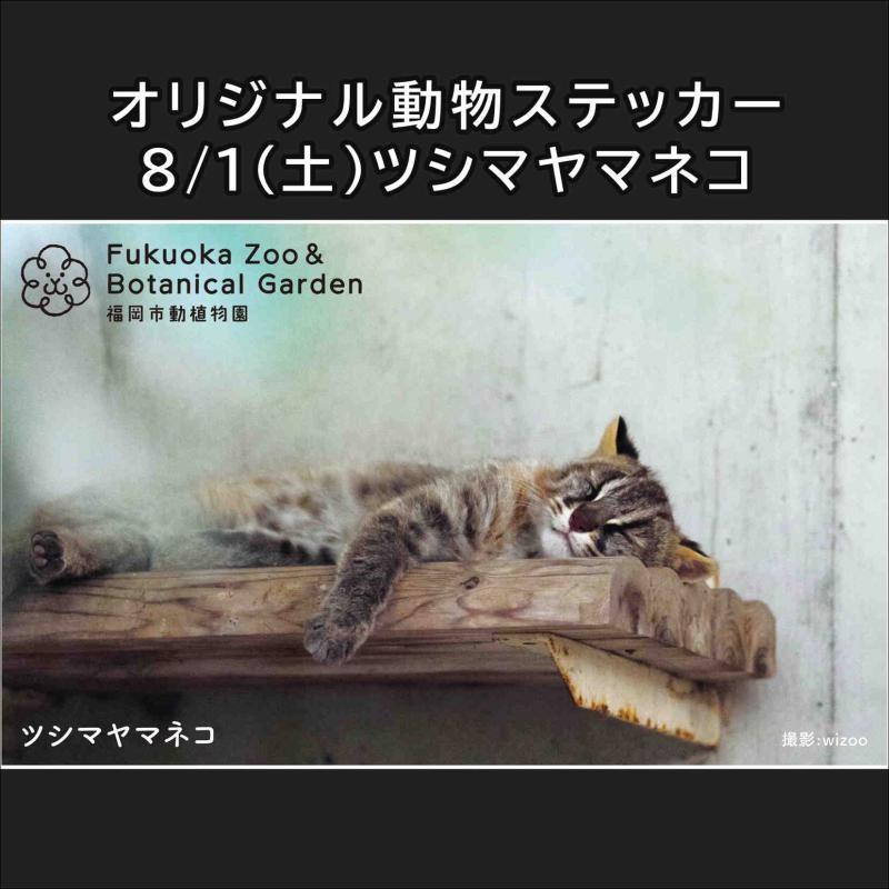 公共交通機関で「夜の動植物園」に来園した方へ「オリジナル動物ステッカー」をプレゼント♪
