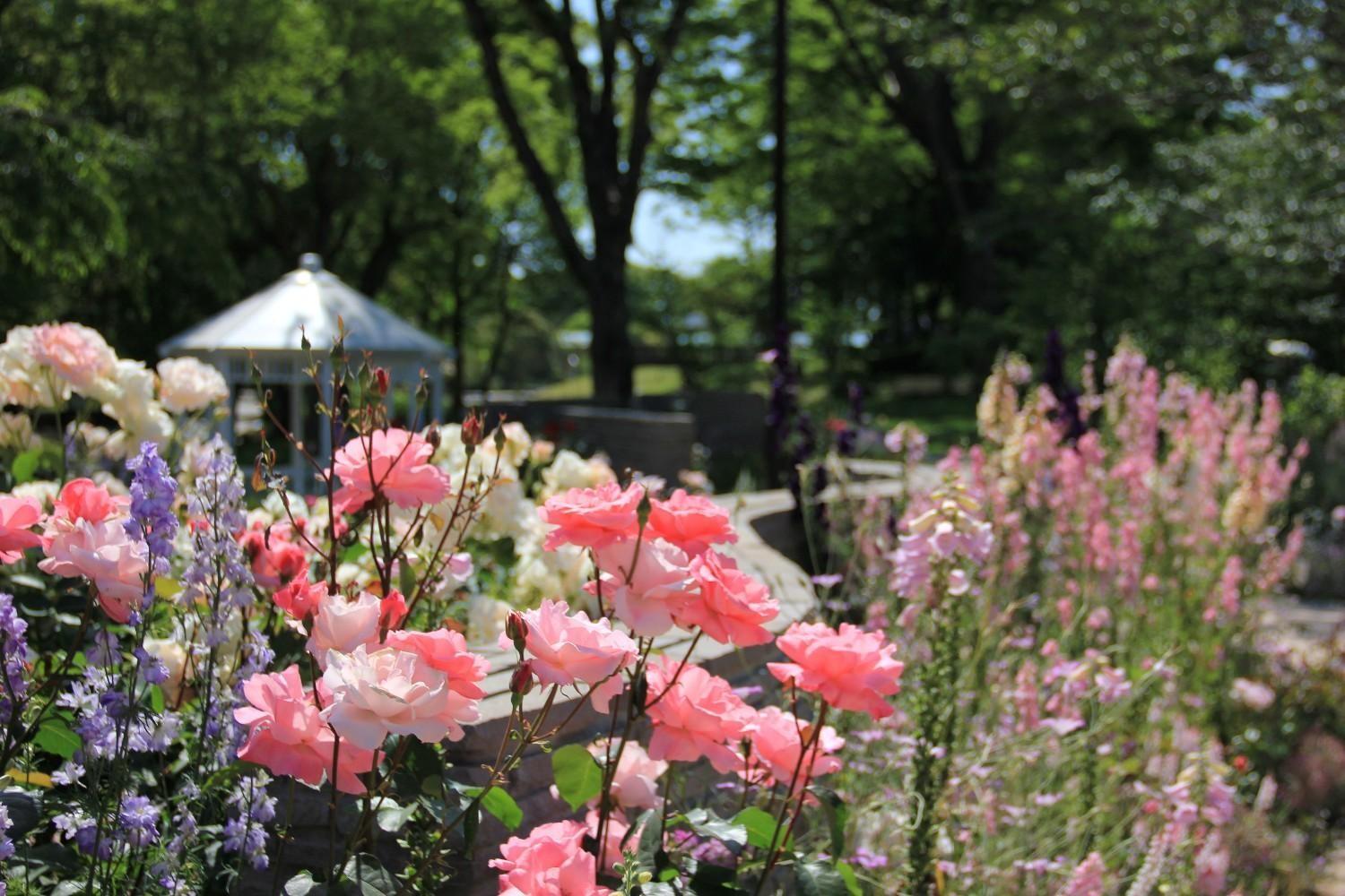 福岡市植物園「Amazonほしい物リスト」を新規追加しました （7月13日更新）の画像5
