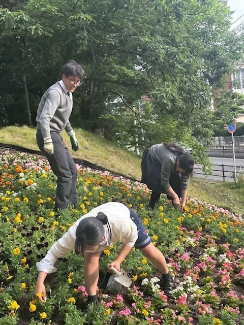 動物園西門前の「おもてなし花壇」がライオンに！