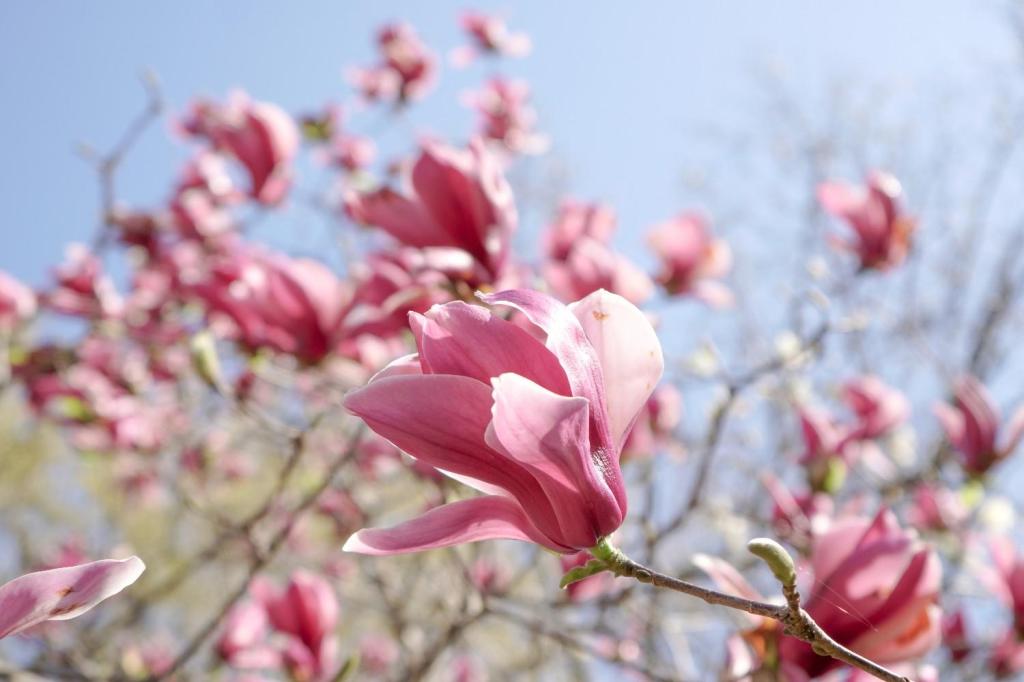 476602d01a4beee72c6189404814e9