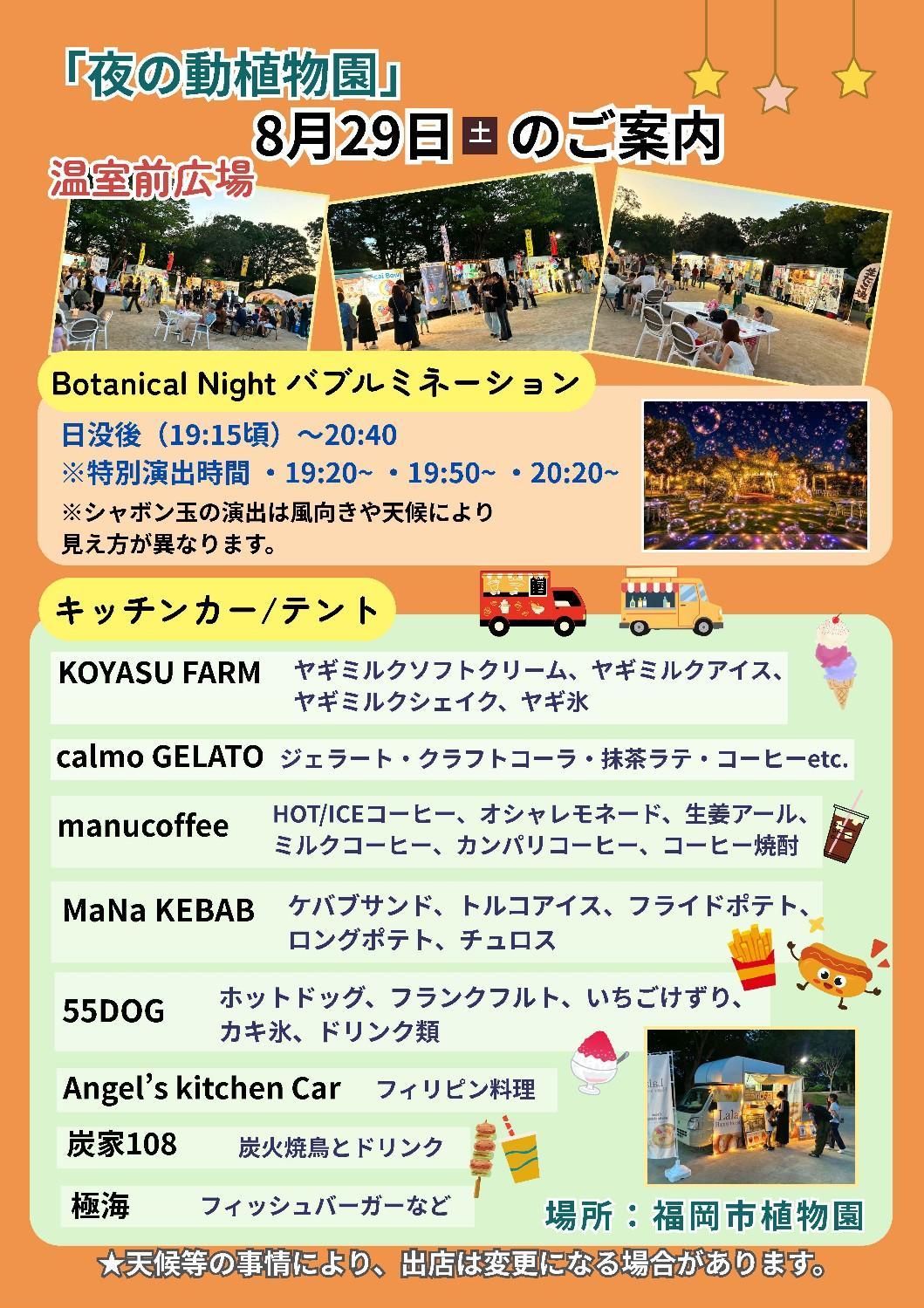 【夜の動植物園】植物園エリアの見どころ紹介の画像8