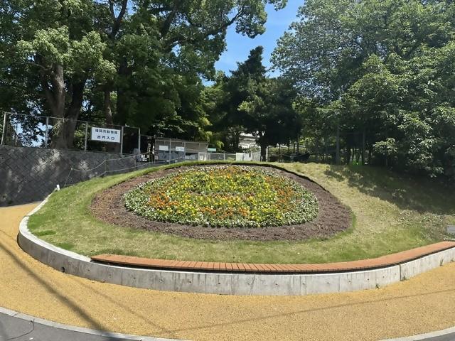 動物園西門前の「おもてなし花壇」がライオンに！の画像4