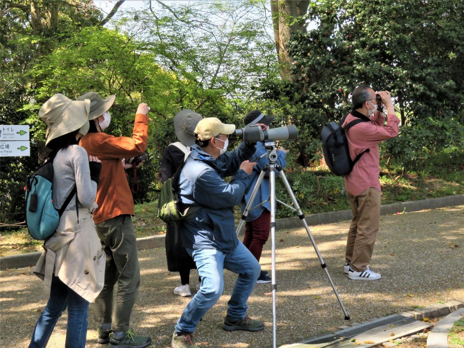 冬の野鳥観察会