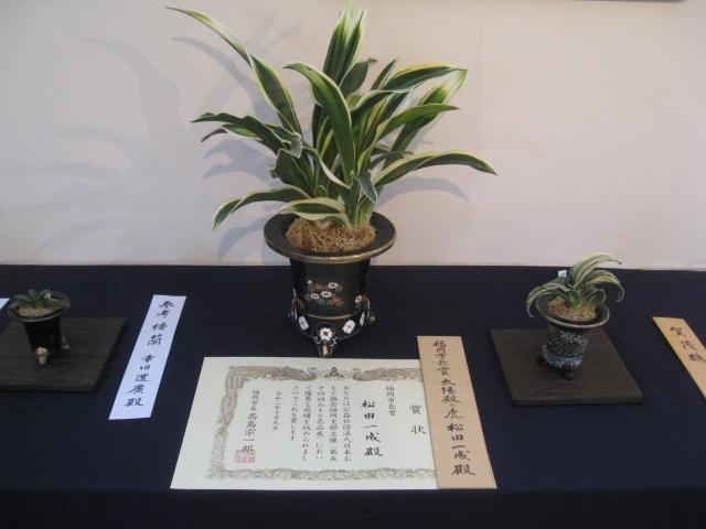 おもと名品展の画像