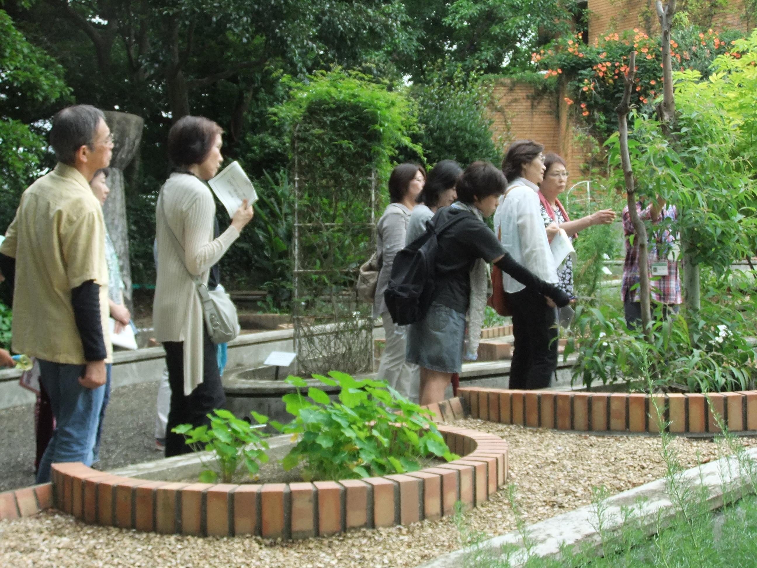 ハーブガイド　※5/26〆切