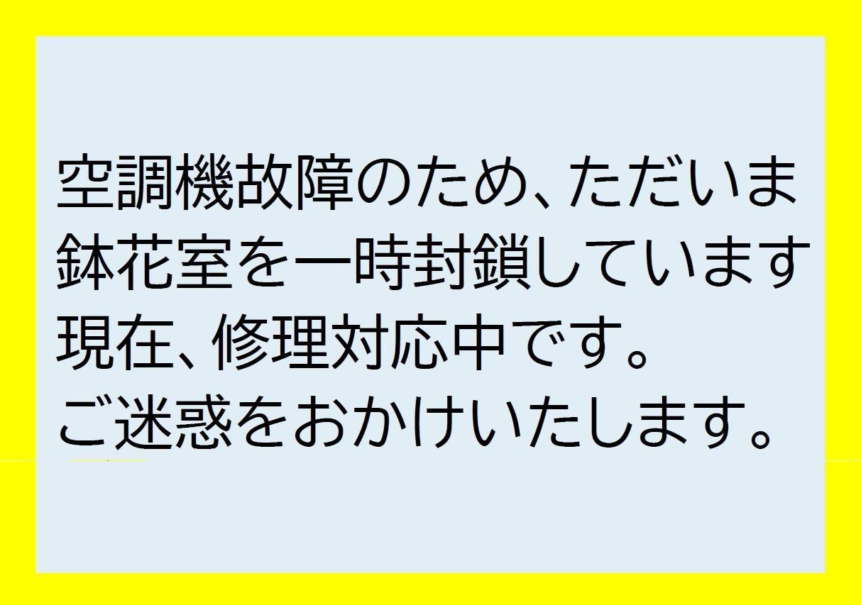 鉢花室（ベゴニア展示室）を一時封鎖しています。