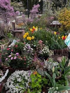 フラワーアップスクール 2026　「江戸の園芸と都市緑化」