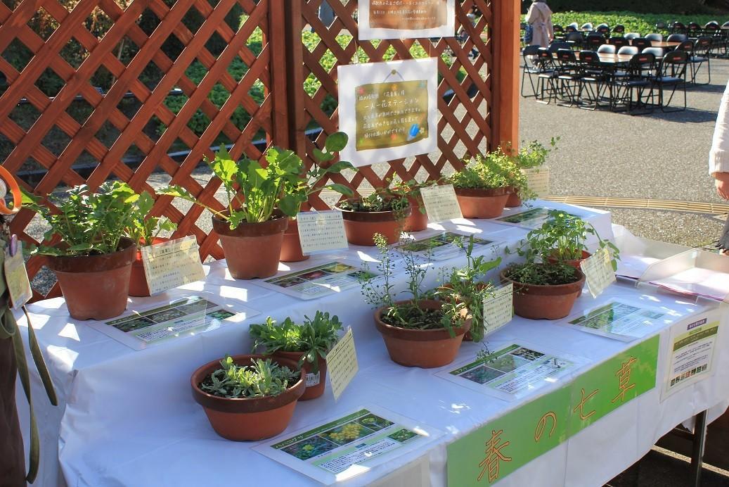 春の七草粥会　※当日午前９時から整理券配布