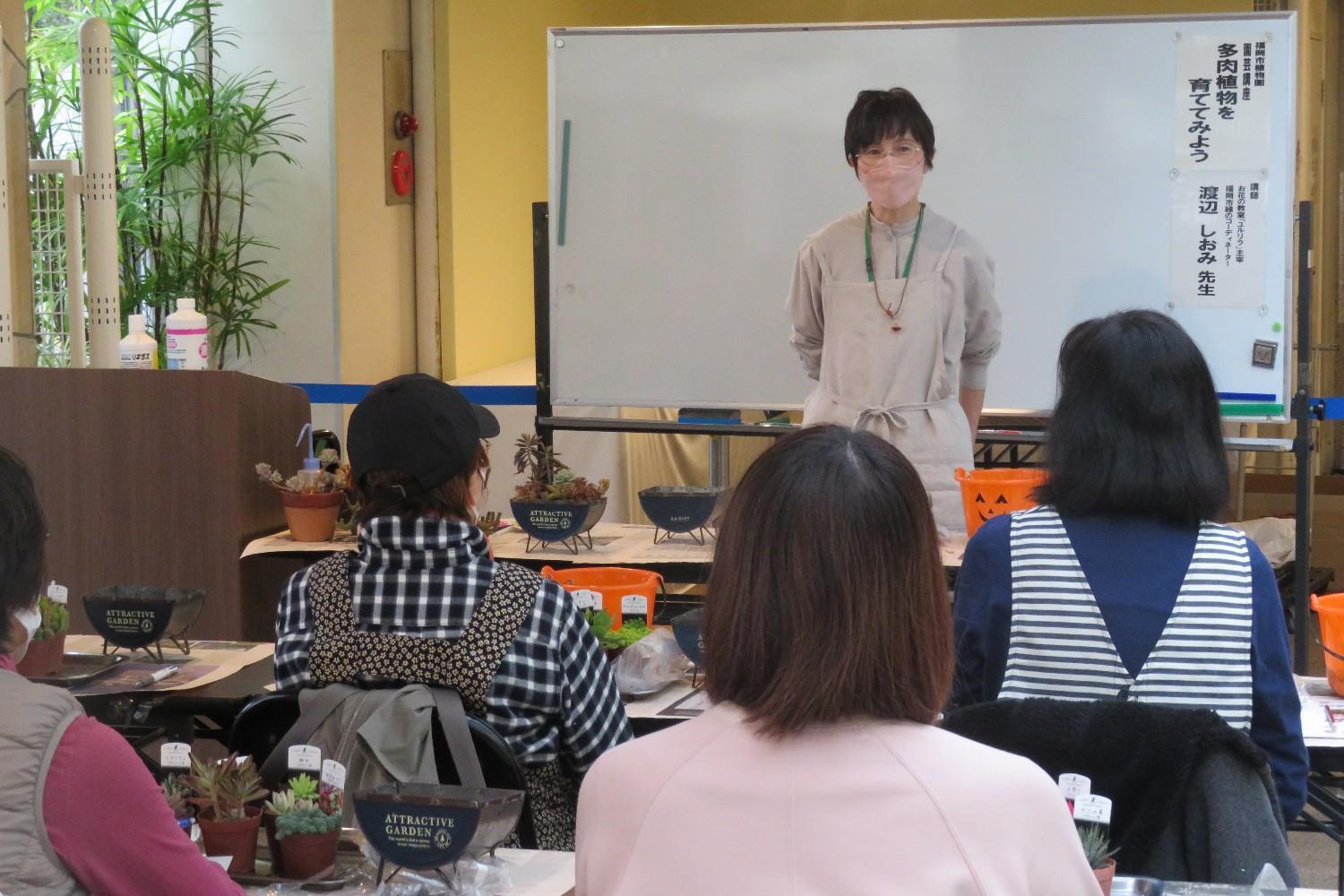 多肉植物を育ててみよう　※2/18〆切