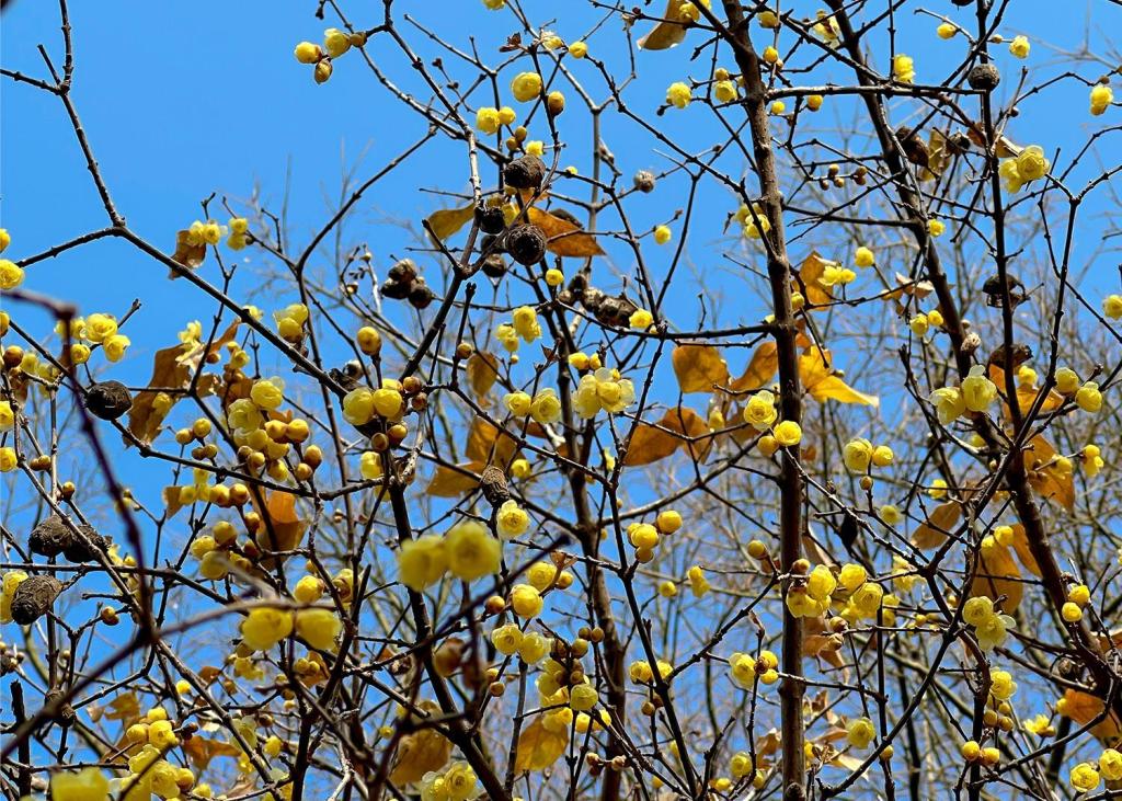 847847a96b849c4ea9c363c7151324