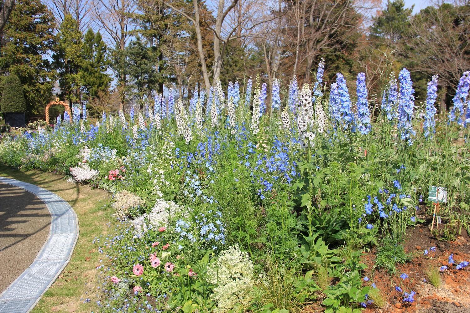 「エントランスガーデン」がオープンしました！の画像2