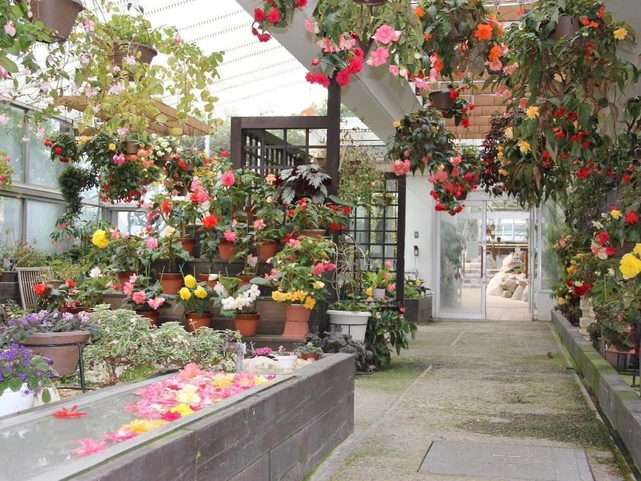 福岡市植物園のCOOLスポットの画像4