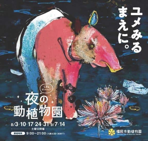 ☆夜の動植物園開催中☆植物園エリアの見どころ紹介（2024.9.7更新）