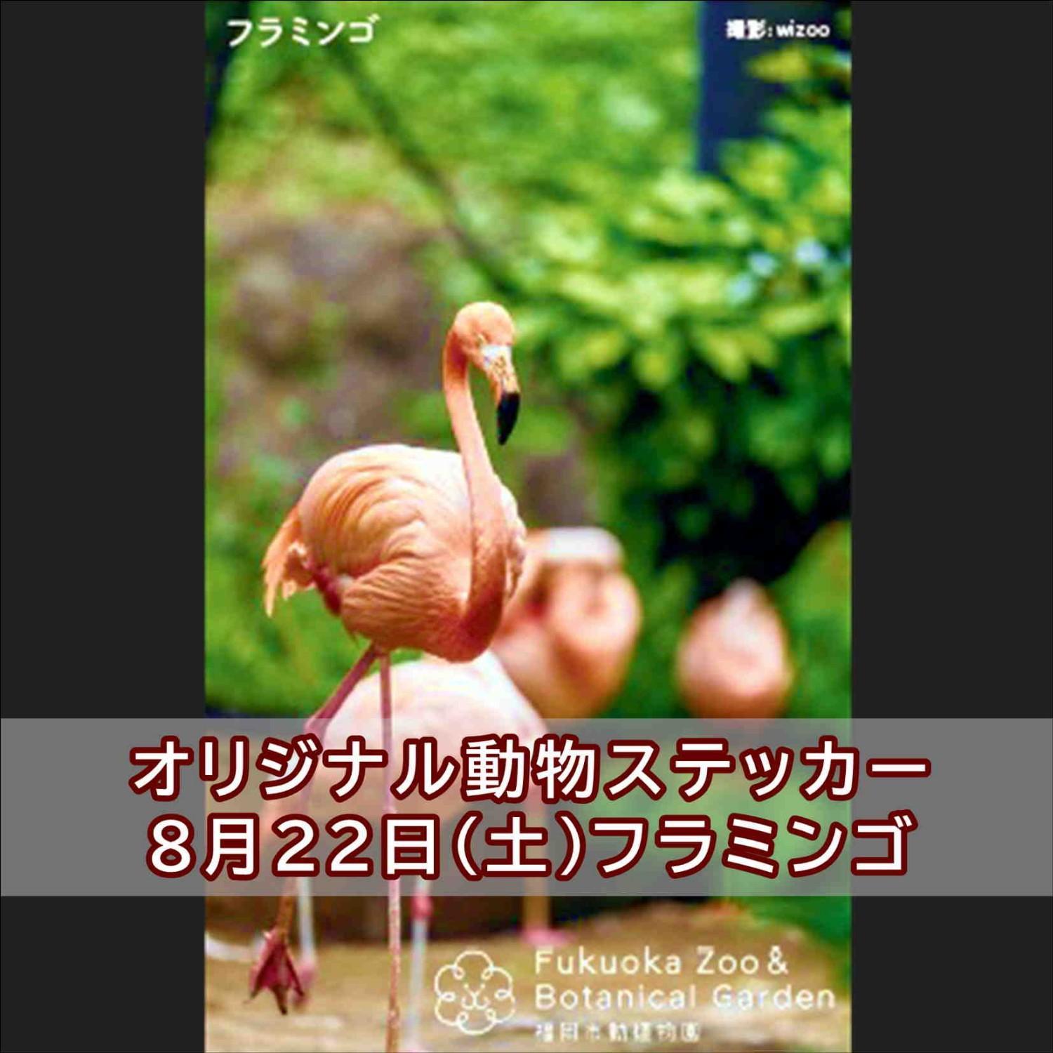公共交通機関で「夜の動植物園」に来園した方へ「オリジナル動物ステッカー」をプレゼント♪
