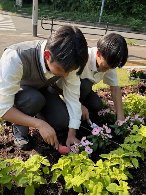 動物園西門前の「おもてなし花壇」がペンギンに！の画像4