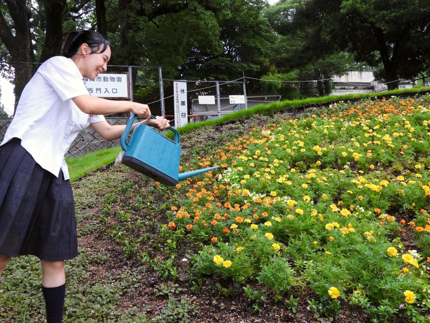 動物園西門前の「おもてなし花壇」がライオンに！の画像7