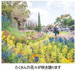 FUKUOKA FLOWER SHOWフクオカフラワーショーチケット販売開始の画像2