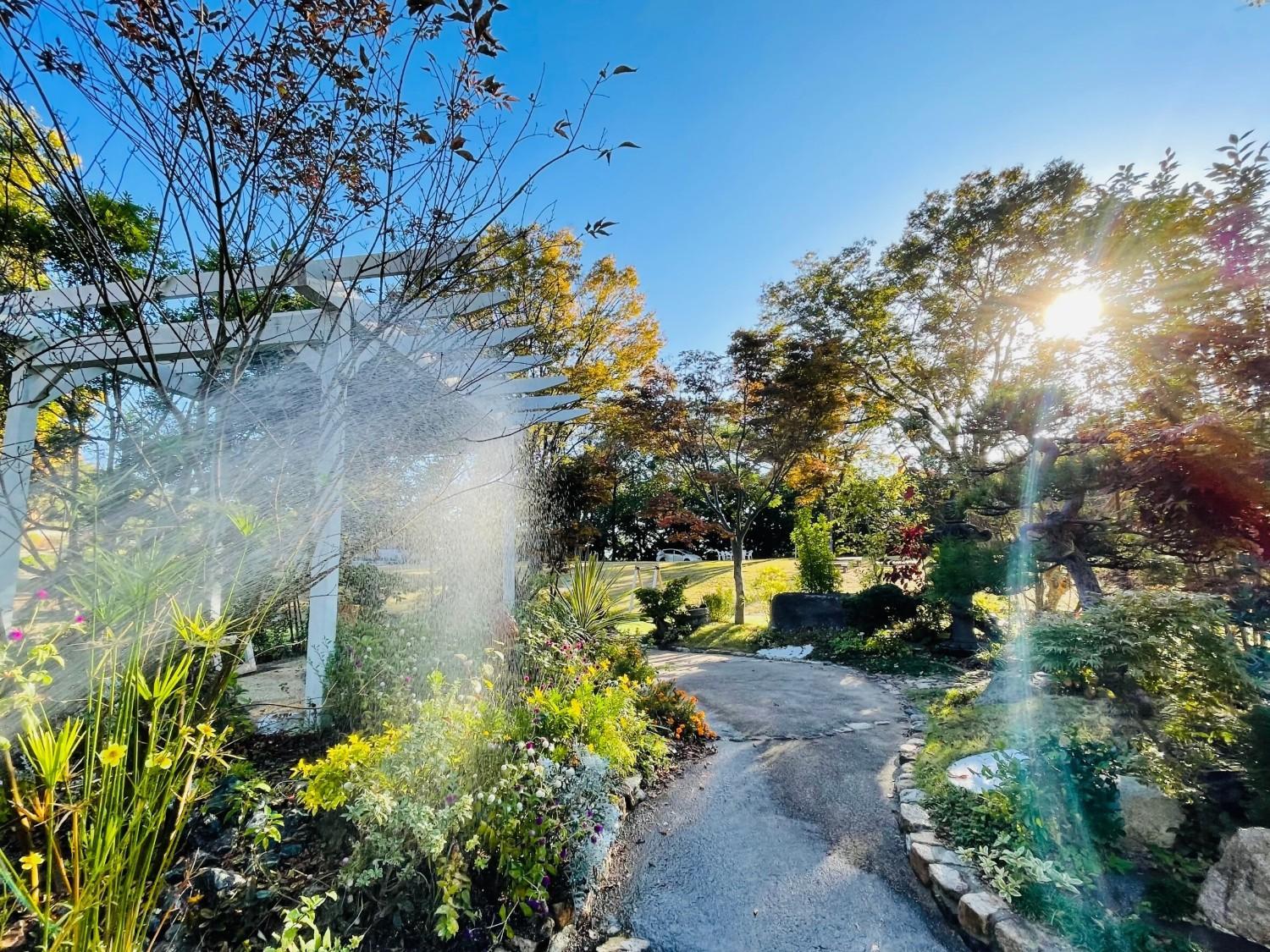 植物園で朝活しませんか？ の画像
