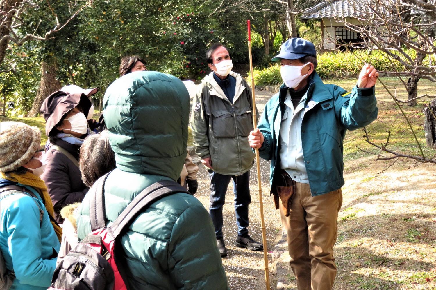 冬の庭木の管理　※当日受付の画像